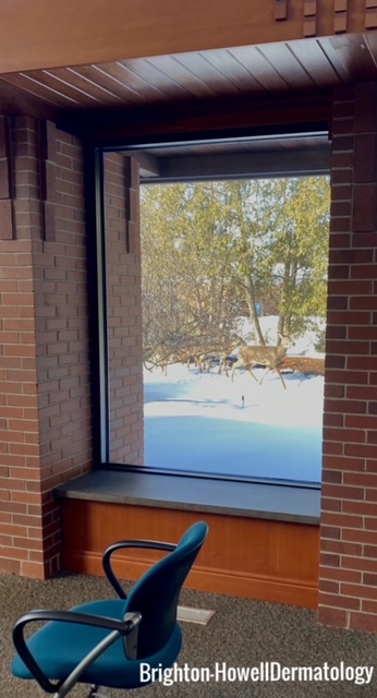 View of Snow Covered Outside from Waiting Area