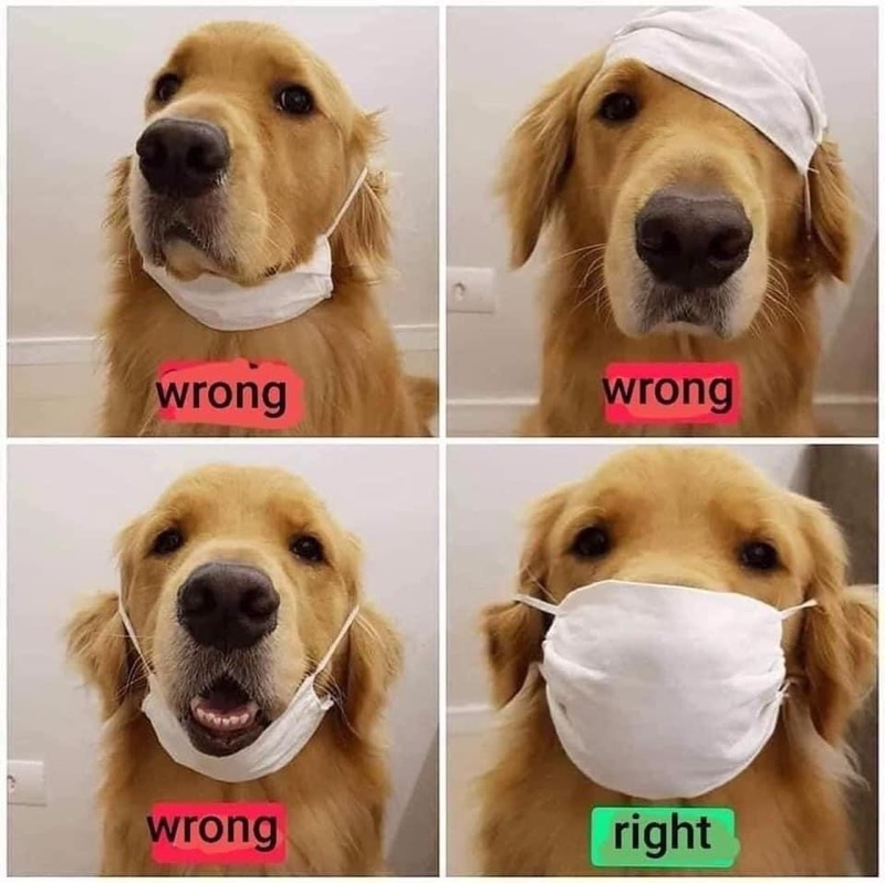 The right and wrong ways to wear a mask